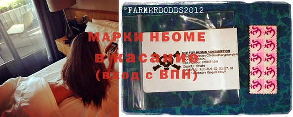 ГАЛЛЮЦИНОГЕННЫЕ ГРИБЫ Медногорск