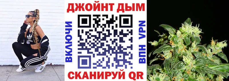 Купить где  Невель  Конопля сатива 